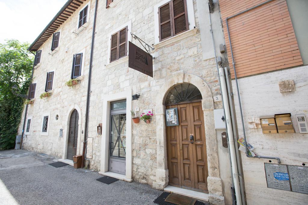 B&B Rosaspina Ascoli Piceno Extérieur photo